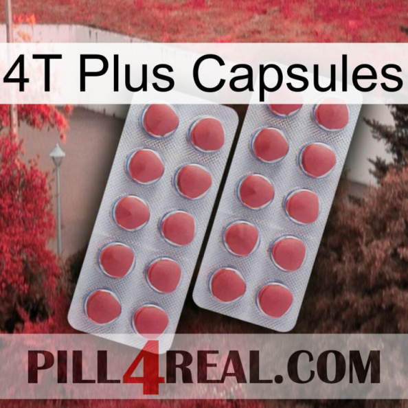 4T Plus Capsules 19